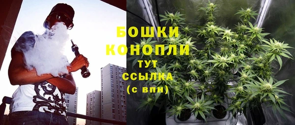 PSILOCYBIN Гусь-Хрустальный