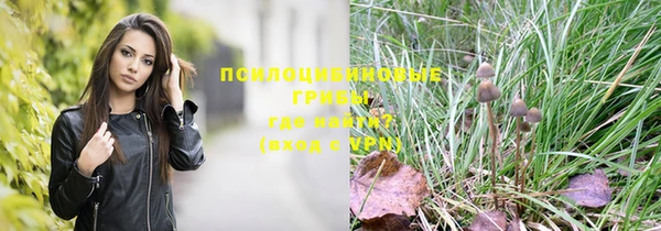 PSILOCYBIN Гусь-Хрустальный