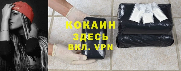 сатива Дмитров