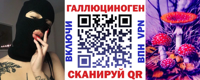 Галлюциногенные грибы Psilocybe  Осинники 