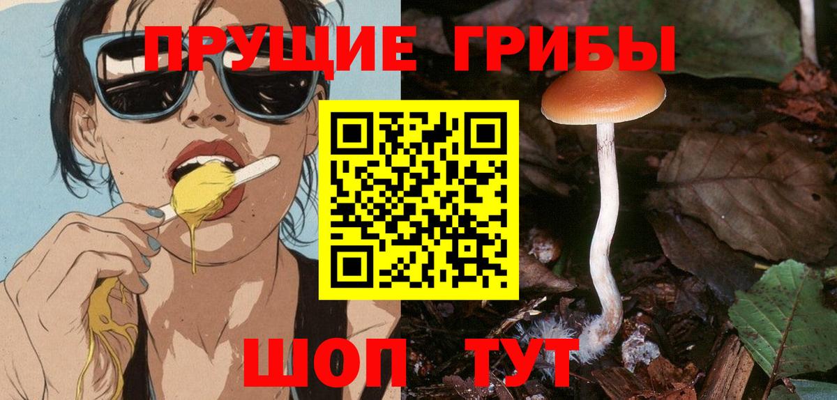 Псилоцибиновые грибы MAGIC MUSHROOMS  Вход с VPN  Псилоцибиновые грибы Cubensis  Осинники 